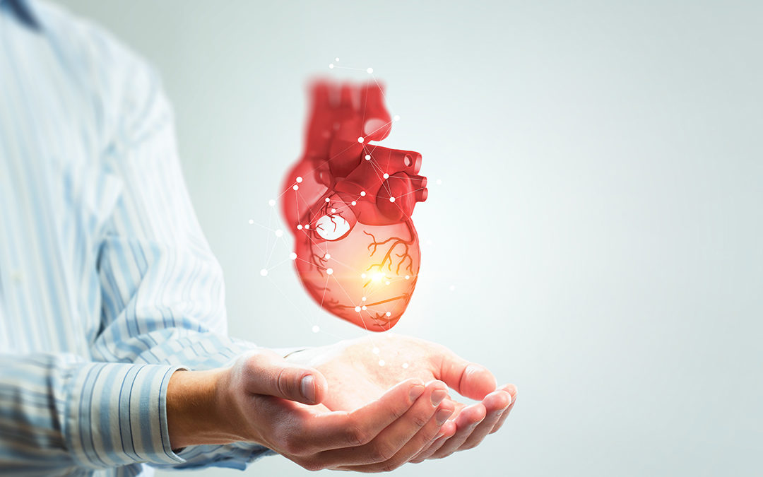 The Watchman Device–Explained